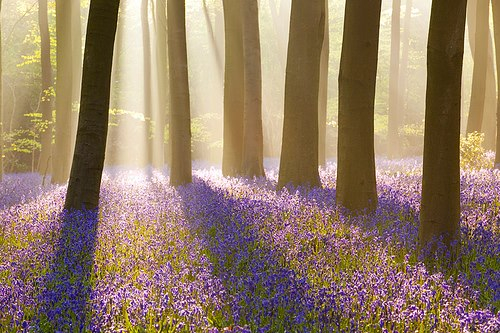 December 18th- Playing Out Old Hurts