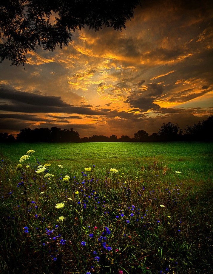 December 21st-Timing