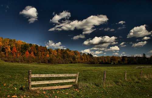 January 29th-Regrets