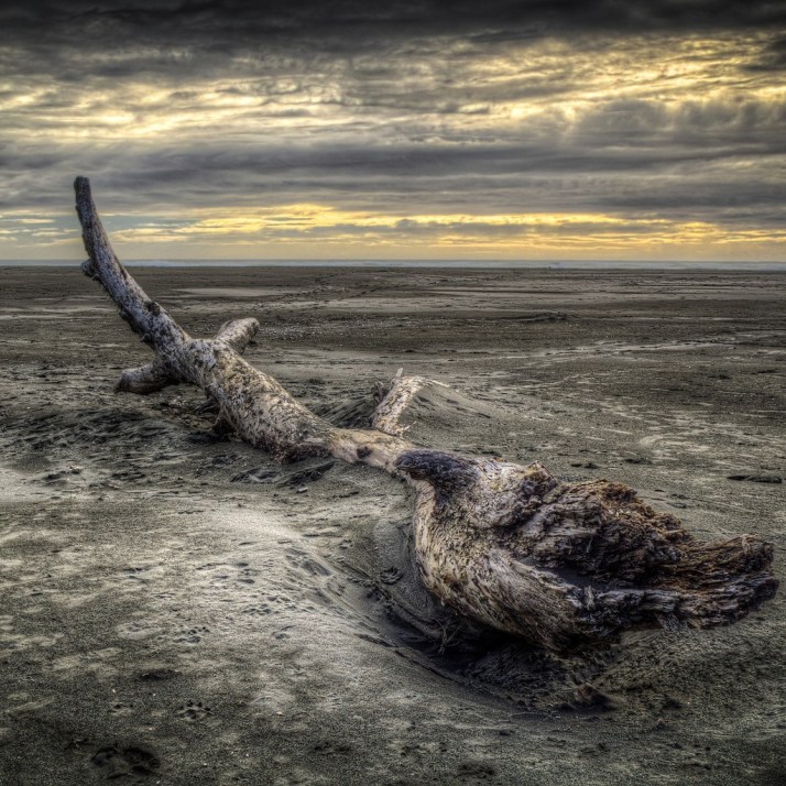 Karekare Beach, New Zealand